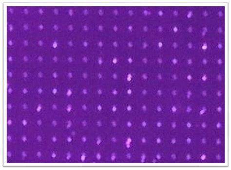 The LED die are assembled into the traps using an adapted slot-die process.